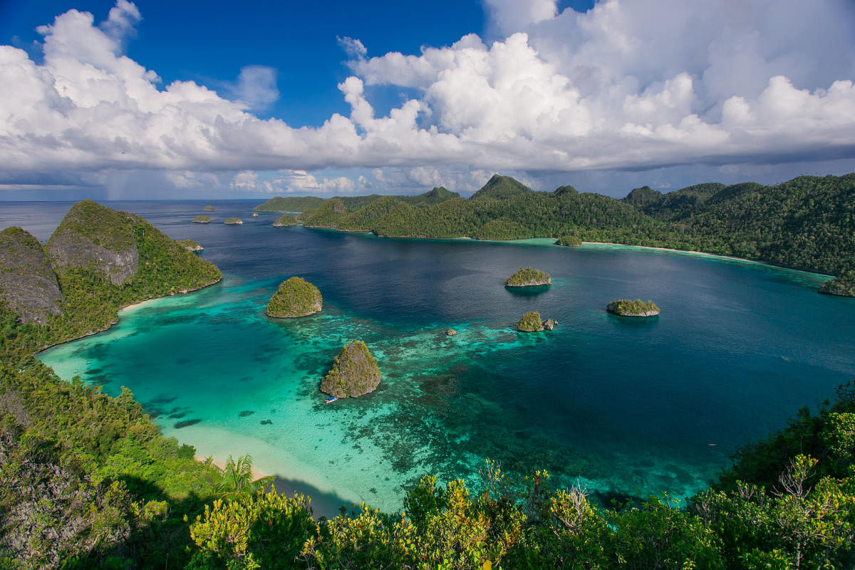 Paradise found in Papua New Guinea