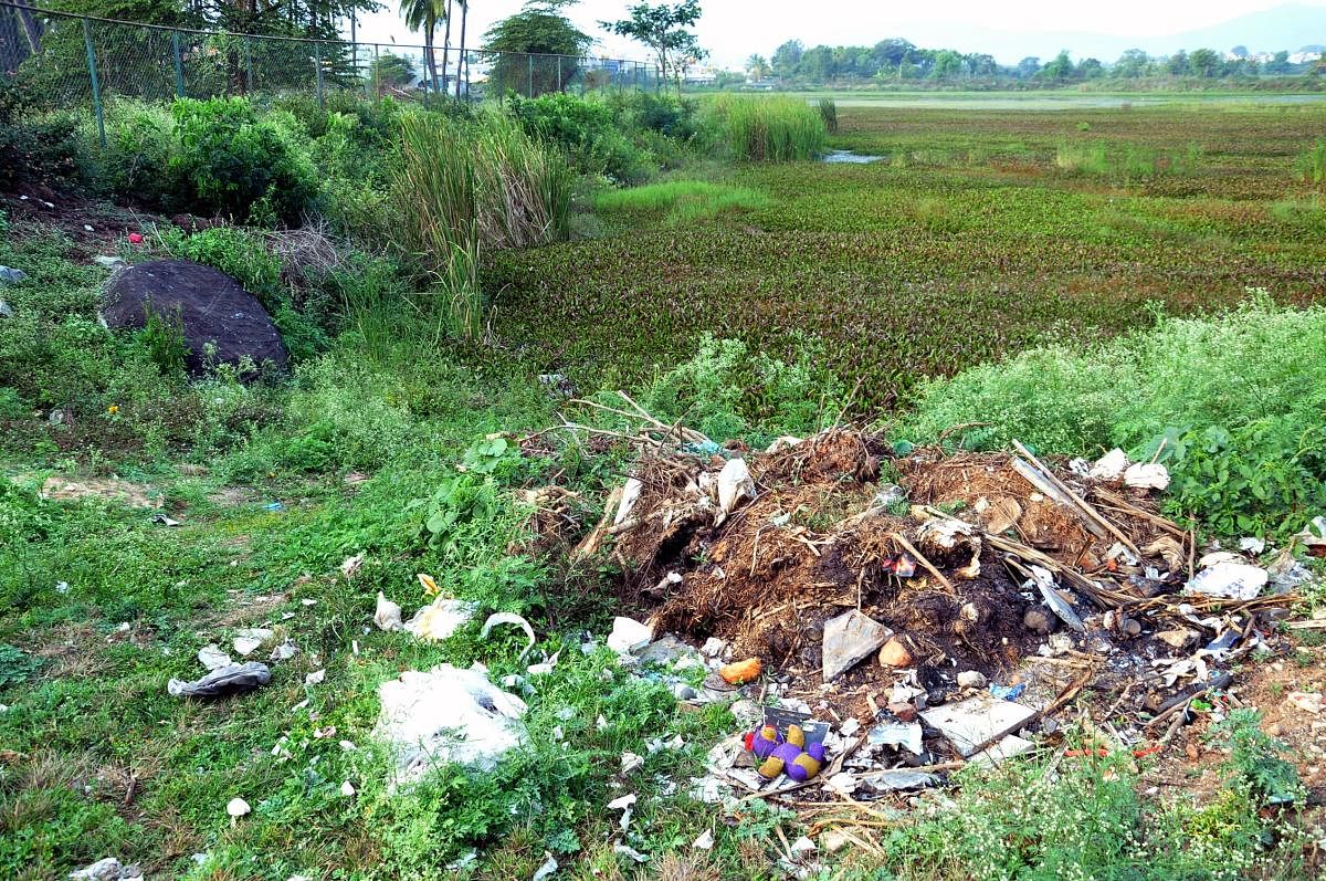 Dumping of garbage, sewage turn Kote Kere into cesspool