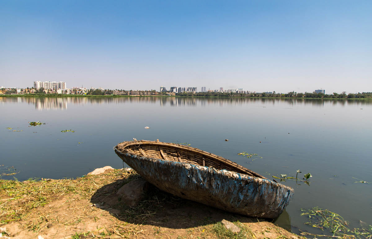 NGT to officials: Set up STPs on lakes or pay fine
