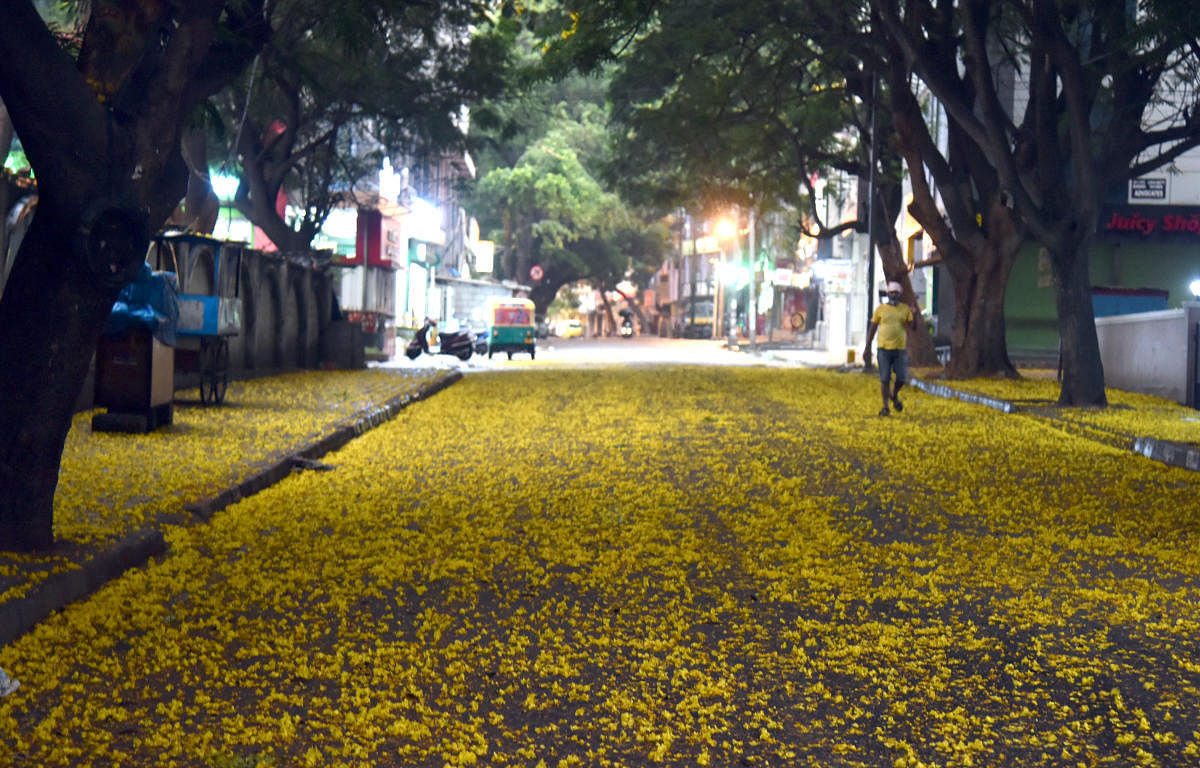 Bengaluru: Summer blooms, colours of hope 