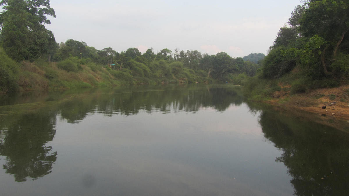Coronavirus lockdown: Water quality improves at River Cauvery