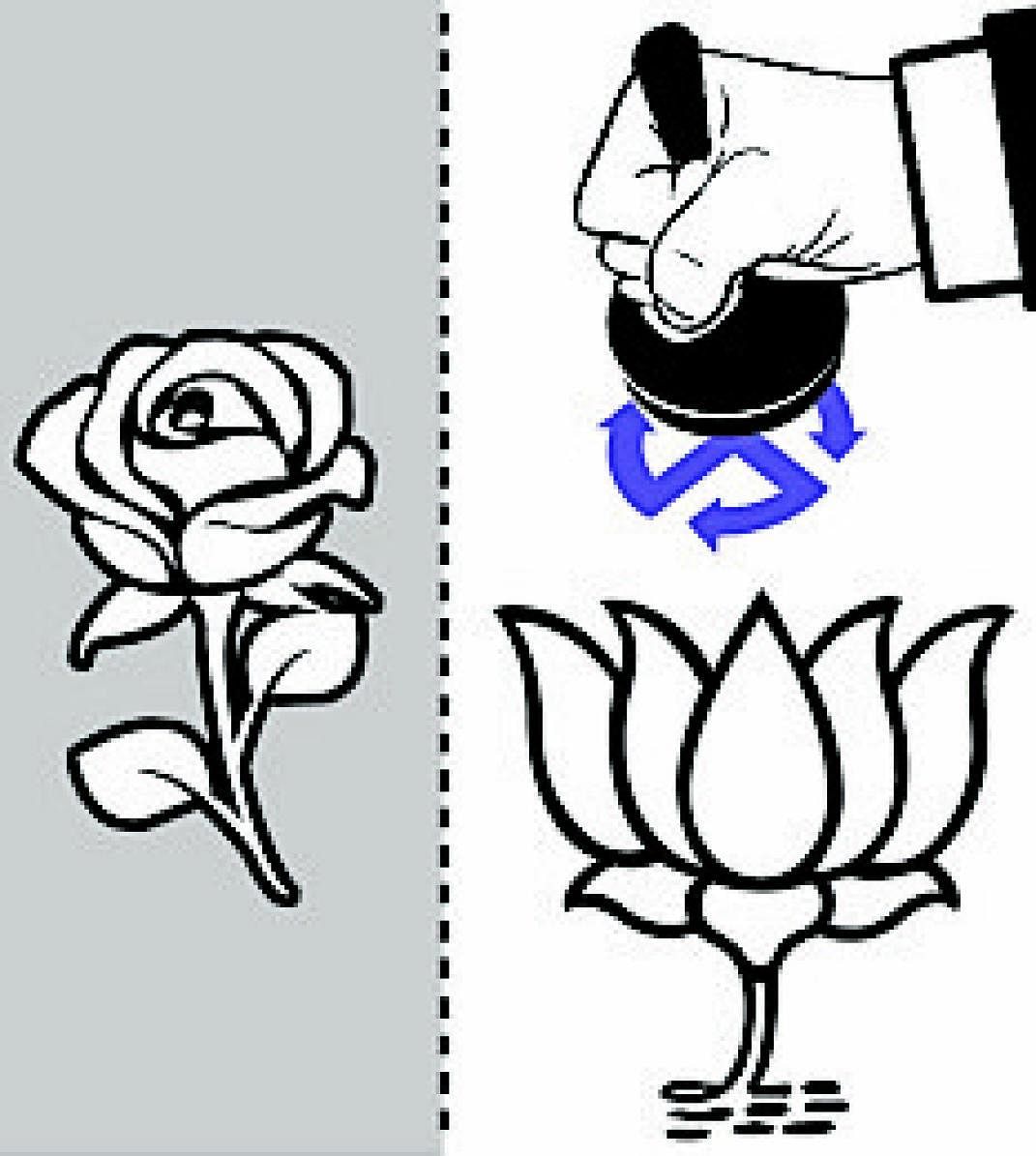 Poll-O-Meter:  Lotus in, rose out