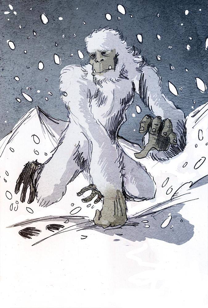All you need to know about Yetis
