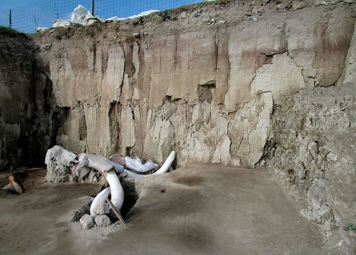 In Mexico City, experts find bones of dozens of mammoths