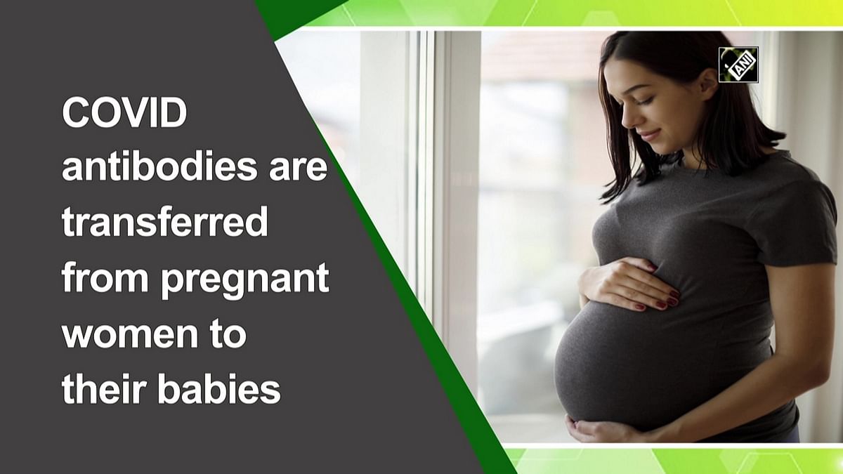 Covid-19 antibodies are transferred from pregnant women to their babies