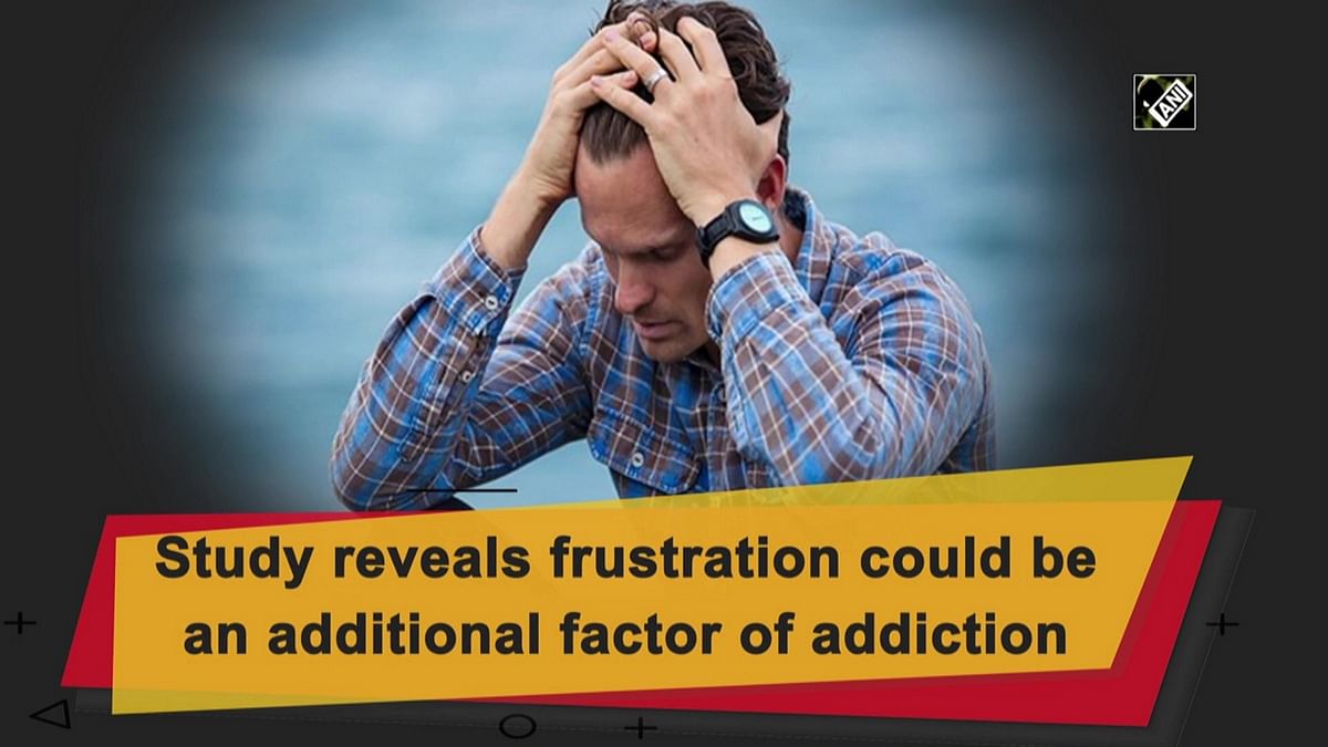 Study reveals frustration could be an additional factor of addiction
