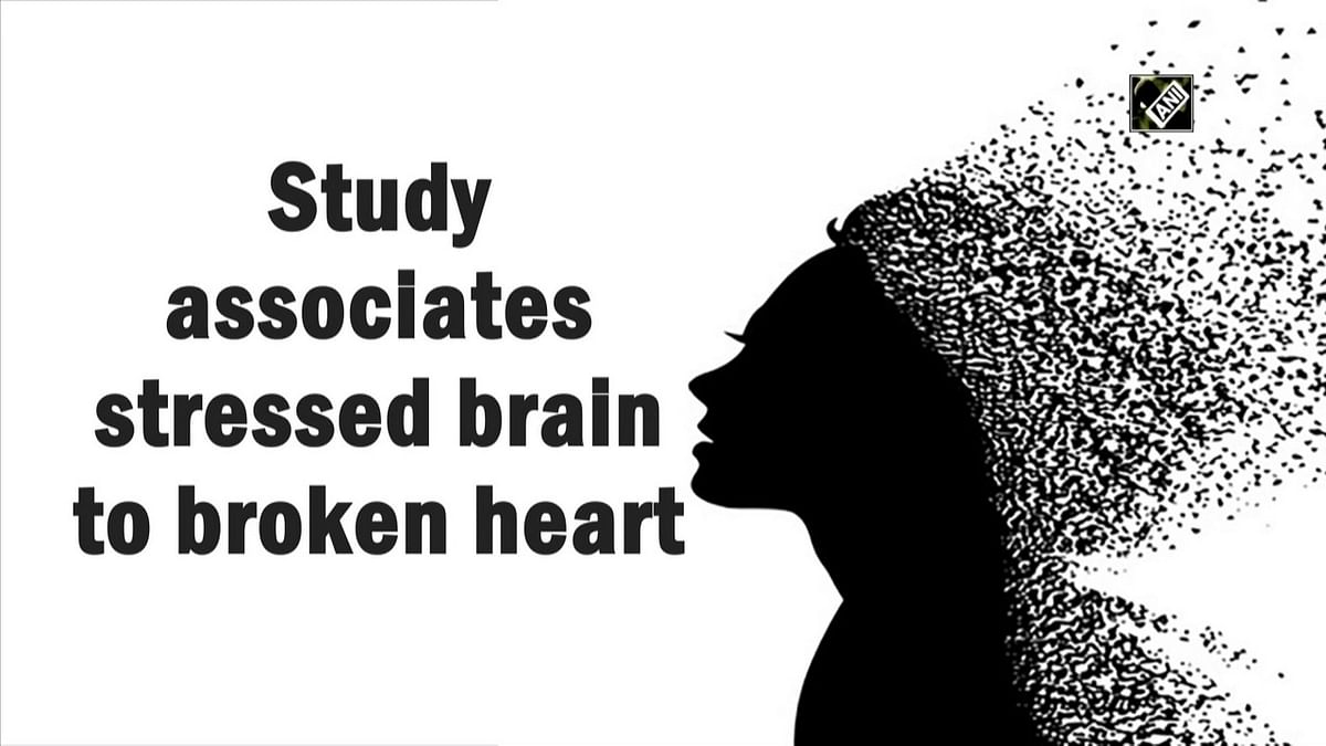 Study associates stressed brain with broken heart