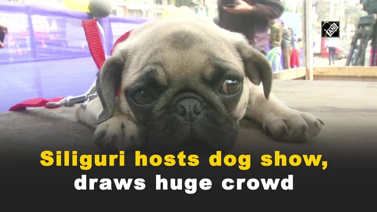 Siliguri hosts dog show, draws huge crowd