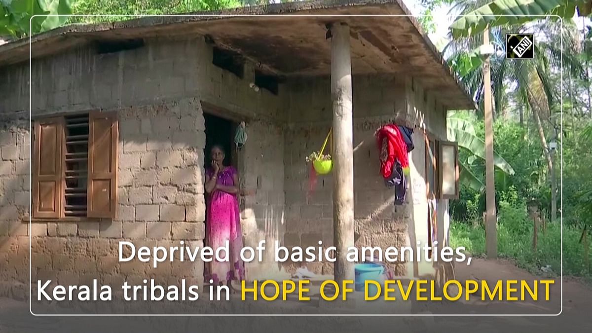 Deprived of basic amenities, Kerala's tribals hope for development