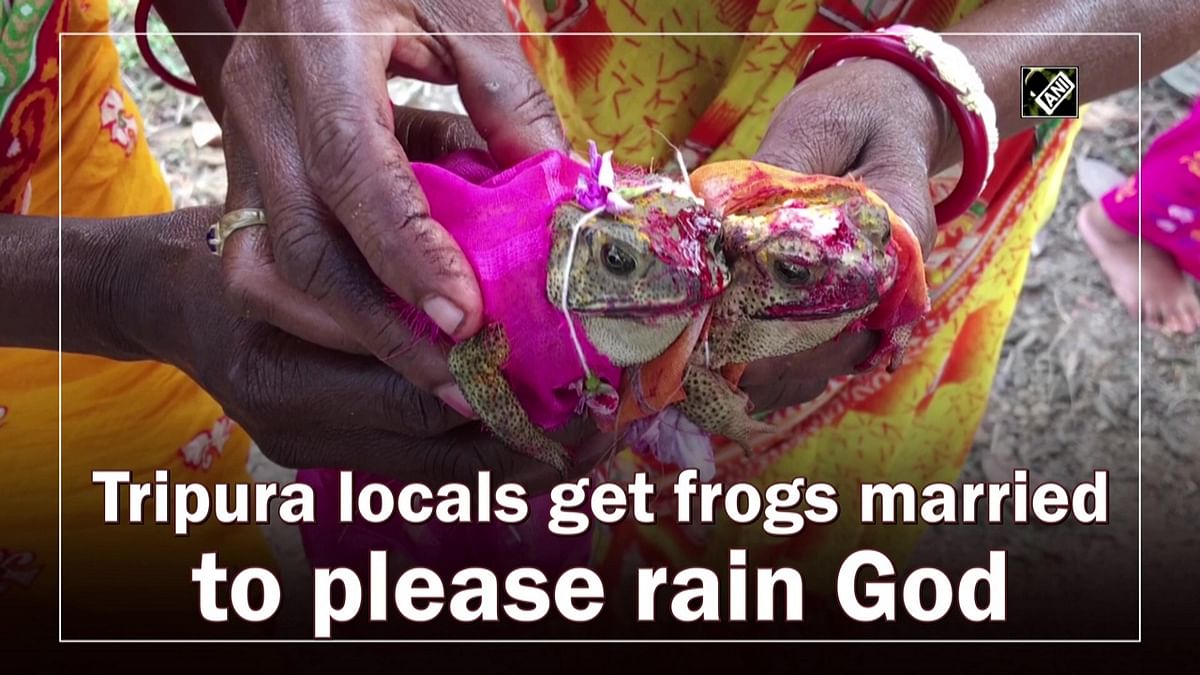 Locals get frogs married to please rain God in Tripura