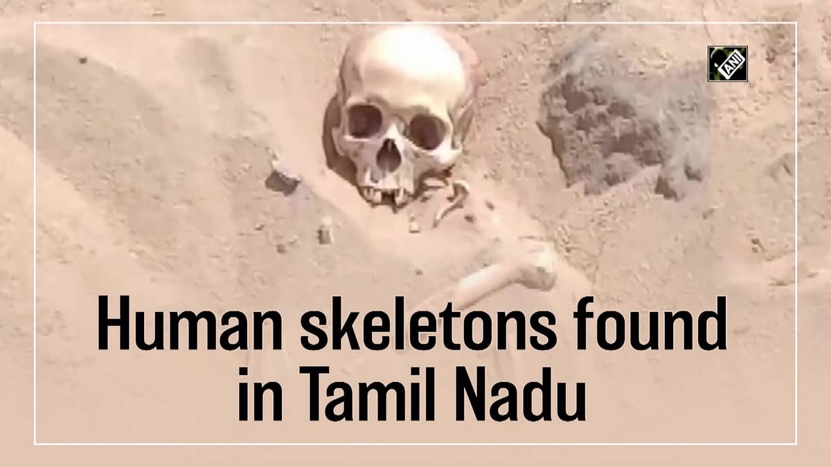 Human skeletons found in Tamil Nadu