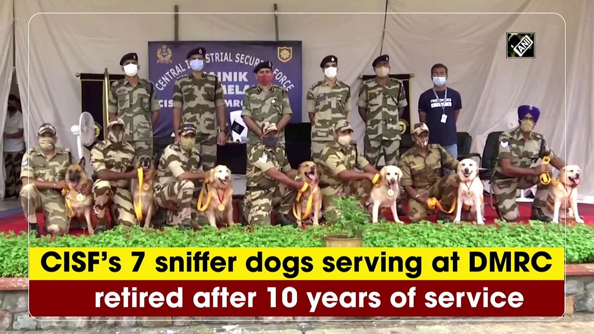 CISF’s 7 sniffer dogs serving at DMRC retired after 10 years of service 