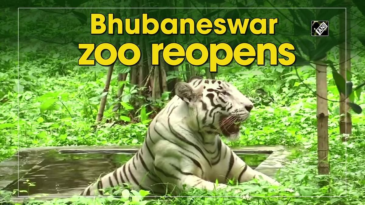 Bhubaneswar's Nandankanan Zoological Park reopens for visitors