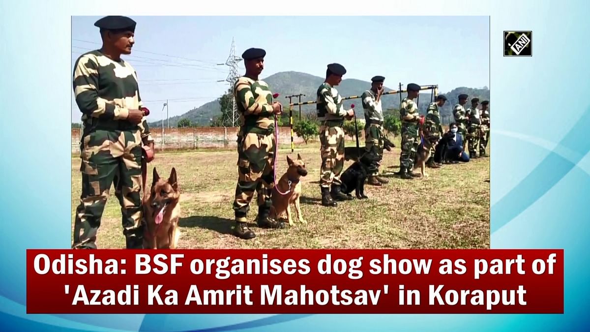 BSF organises dog show as part of 'Azadi Ka Amrit Mahotsav' in Koraput