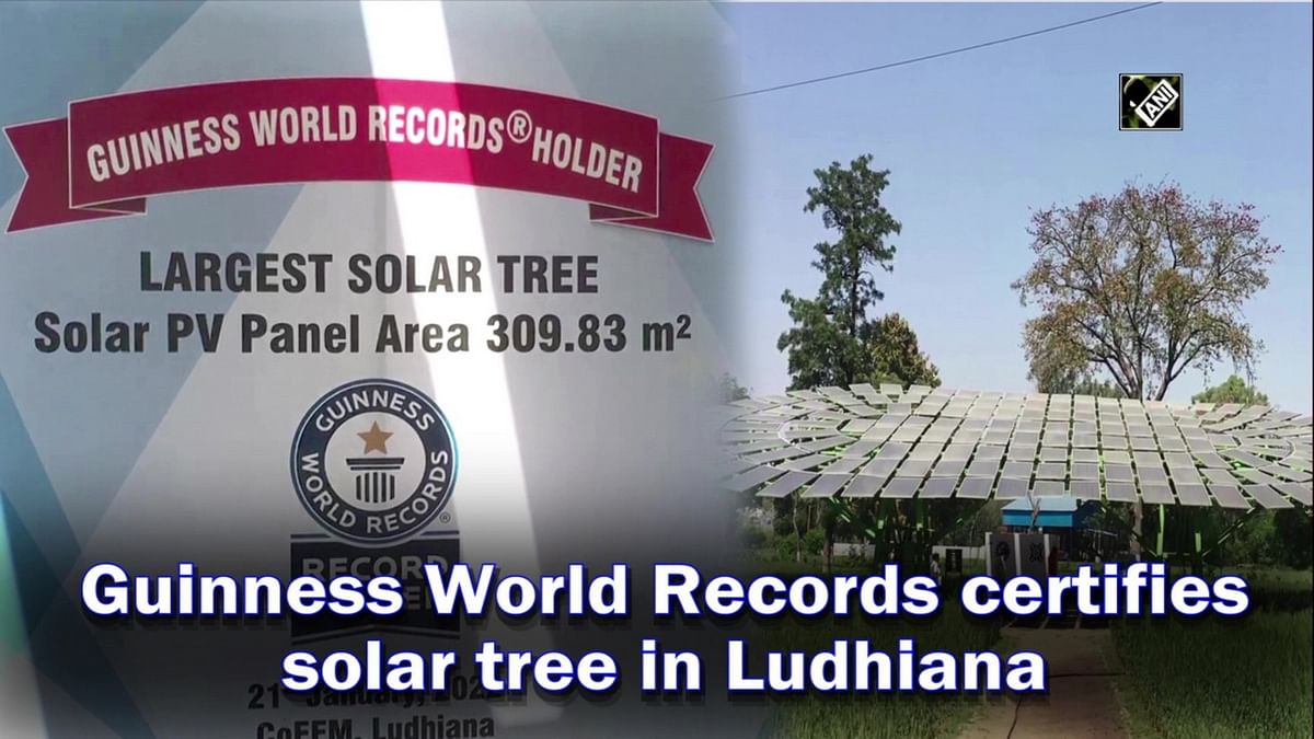 Guinness World Records certifies largest solar tree in Ludhiana