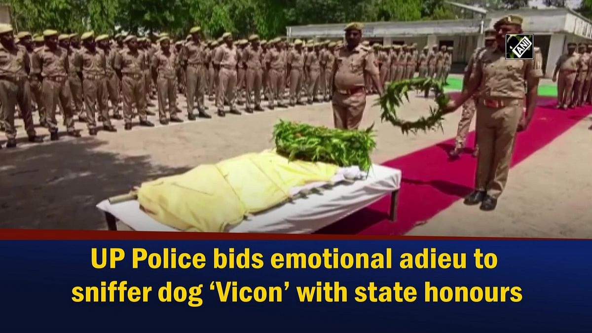 UP police bid emotional adieu to sniffer dog ‘Vicon’ with state honours