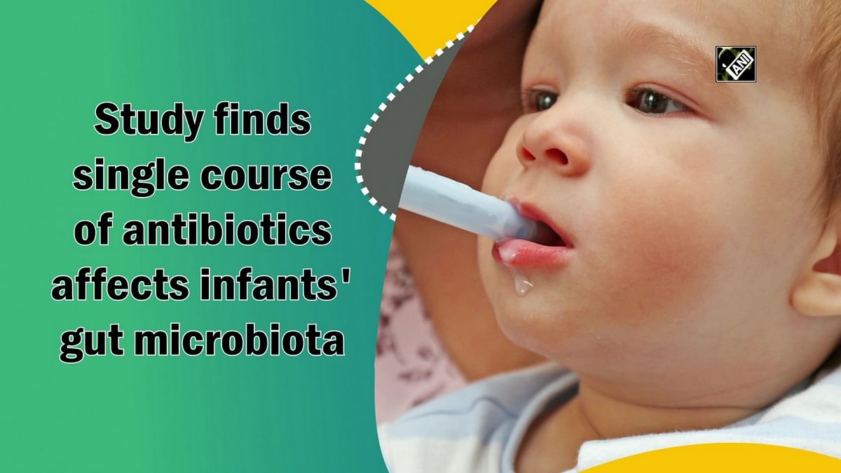 Study finds single course of antibiotics affects infants' gut microbiota