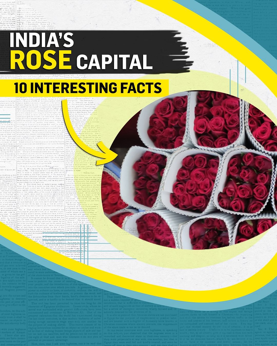 How Bengaluru became India's rose capital