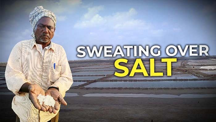 Making salt in Rajasthan's Rann of Kutch
