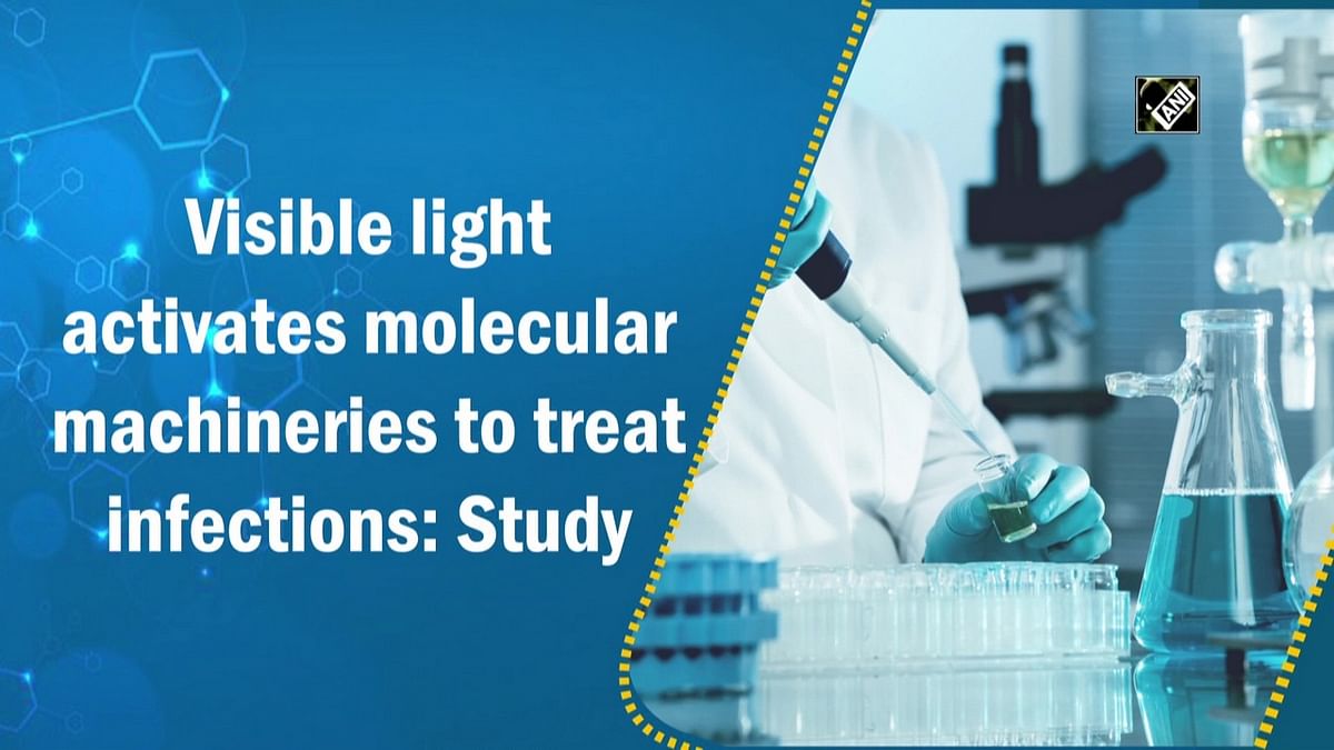 Visible light activates molecular machineries to treat infections: Study