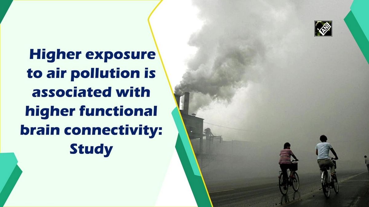 Higher exposure to air pollution is associated with higher functional brain connectivity: Study
