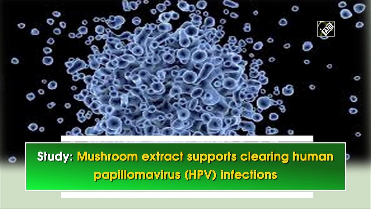 Study: Mushroom extract supports clearing human papillomavirus (HPV) infections