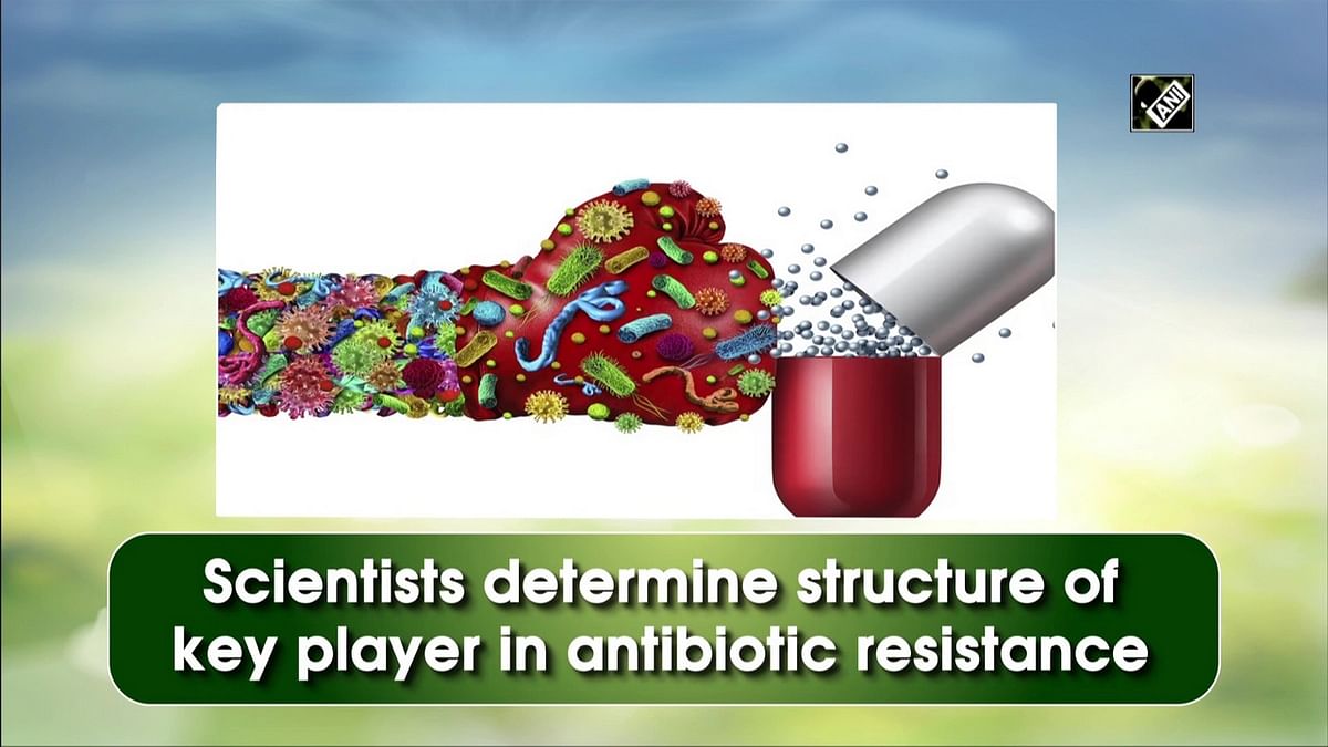 Scientists determine structure of key player in antibiotic resistance