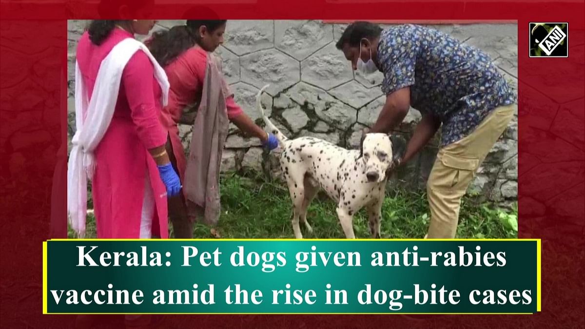 Kerala: Pet dogs given anti-rabies vaccine amid rise in dog-bite cases