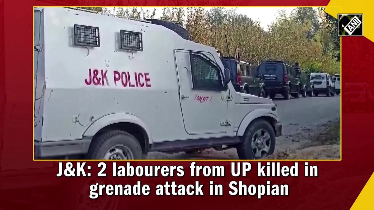 J&K: 2 labourers from UP killed in grenade attack in Shopian 