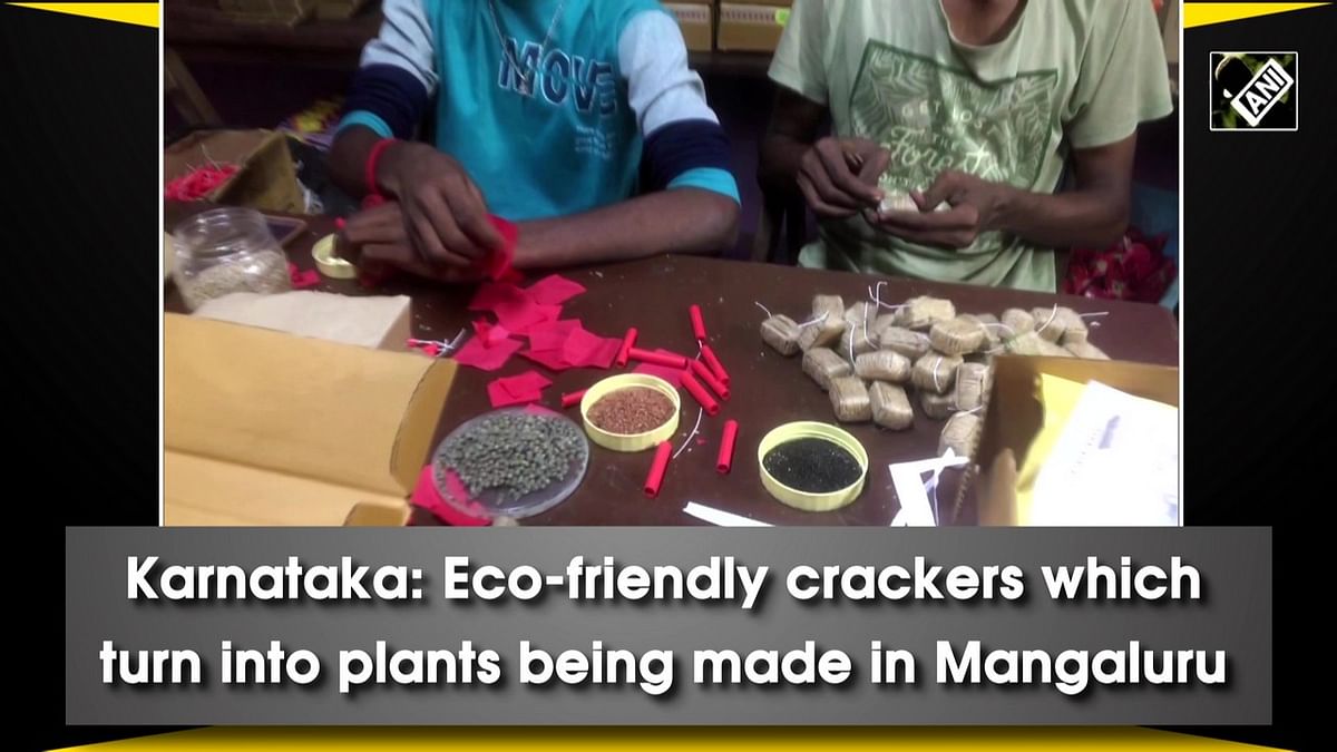 Karnataka: Eco-friendly crackers which turn into plants being made in Mangaluru