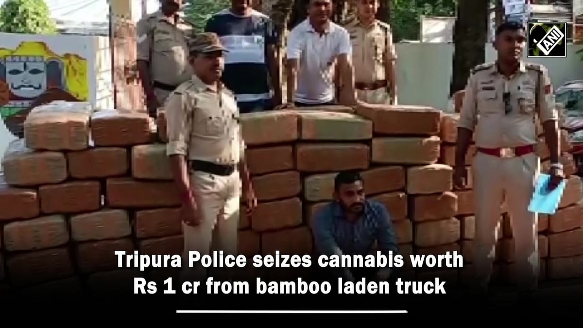 Tripura Police seizes cannabis worth Rs 1 crore from bamboo laden truck
