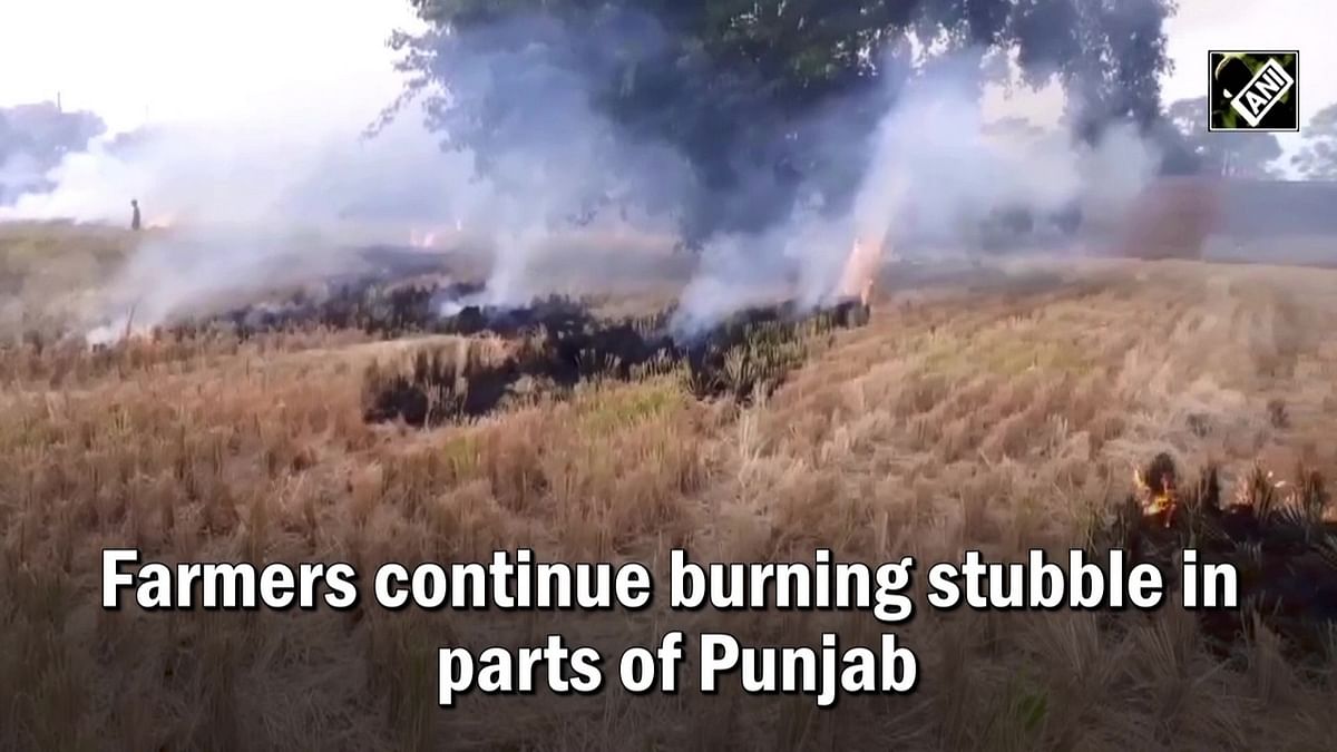 Farmers continue burning stubble in parts of Punjab