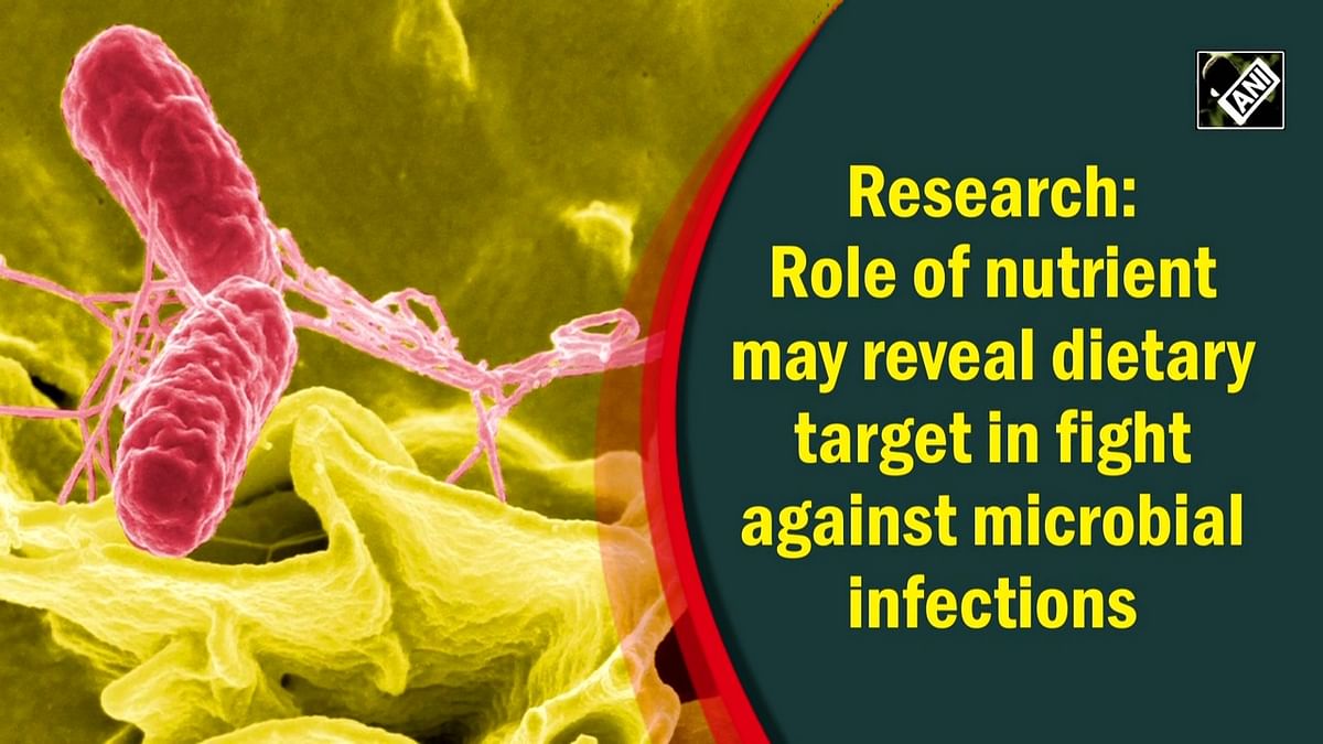 Research: Role of nutrient may reveal dietary target in fight against microbial infections