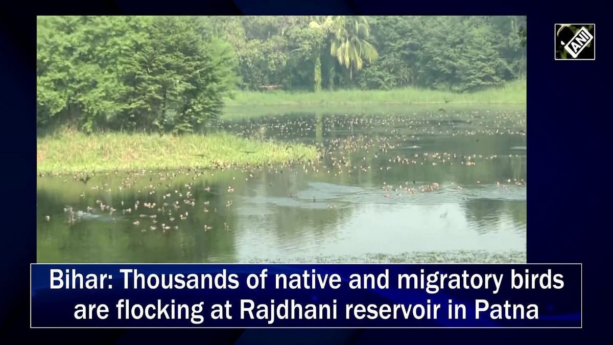 Bihar: Thousands of native and migratory bird species are flocking at Rajdhani reservoir in Patna