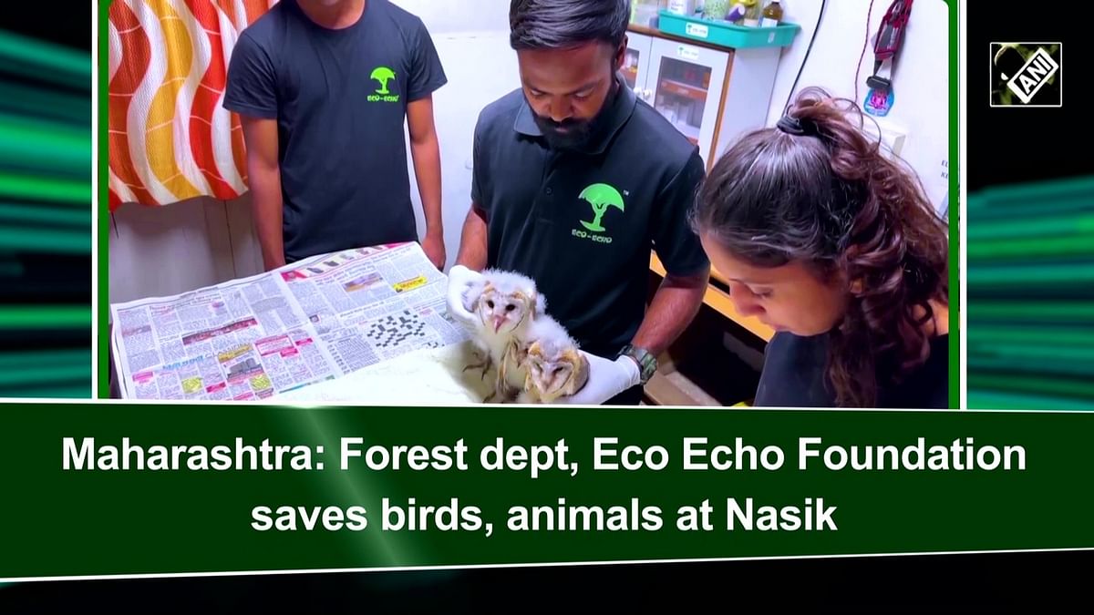 Maharashtra: Forest dept, Eco Echo Foundation save birds, animals at Nasik