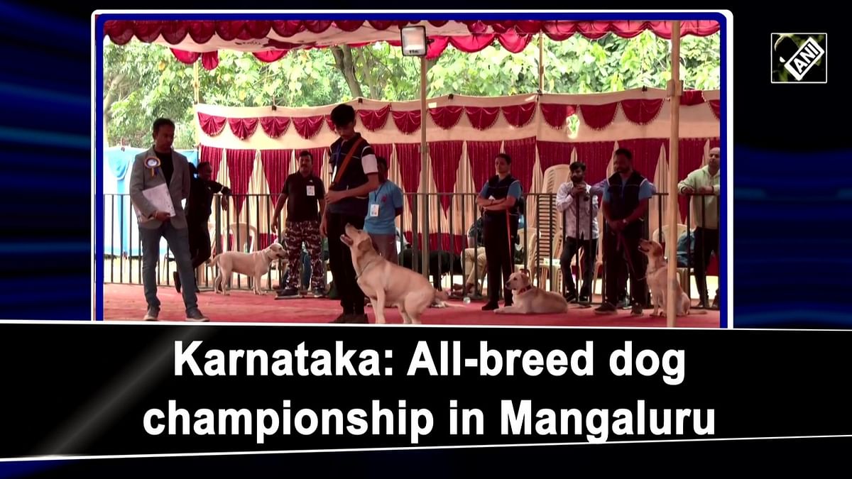 All-breed dog championship held in Mangaluru