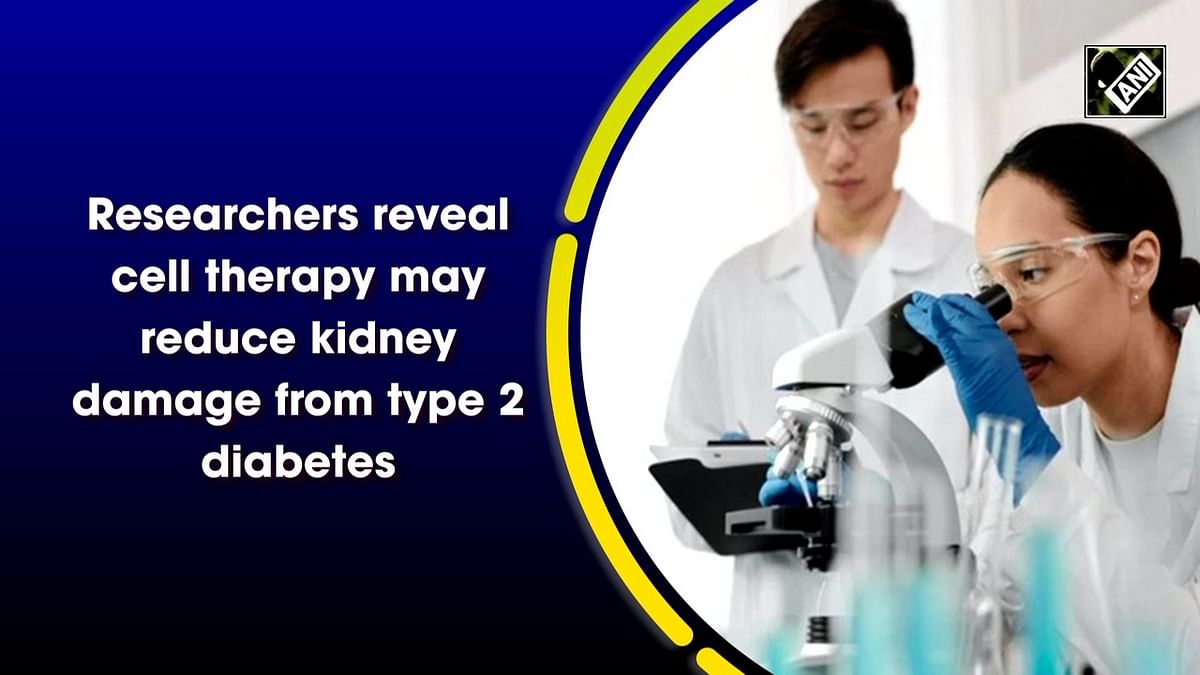 Diabetes: Cell therapy may reduce kidney damage 