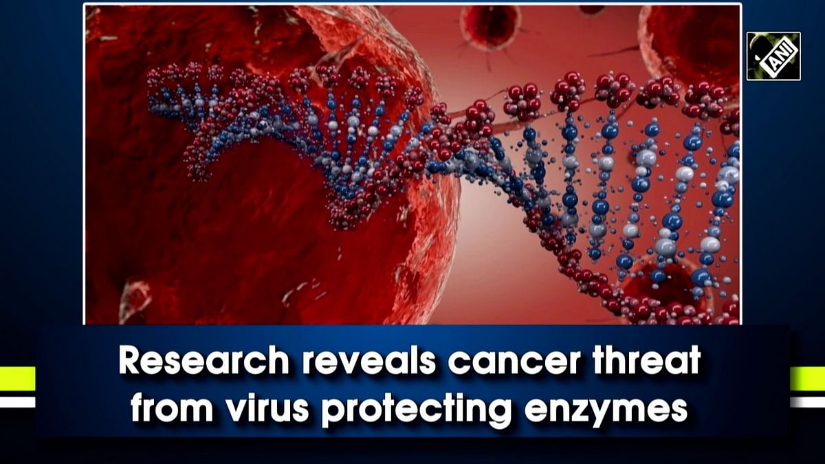 Research reveals cancer threat from virus protecting enzymes
