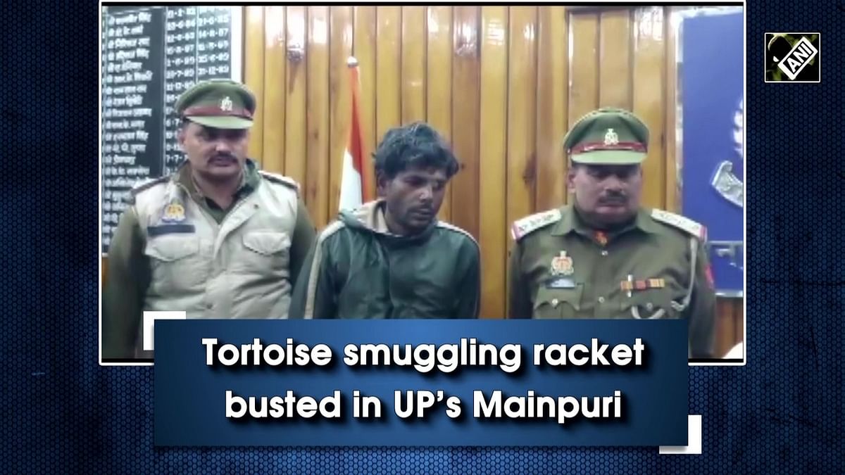 Tortoise smuggling racket busted in UP’s Mainpuri