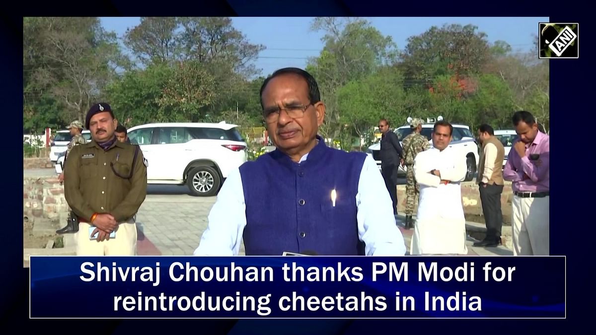 Shivraj Chouhan thanks PM Modi for reintroducing cheetahs in India