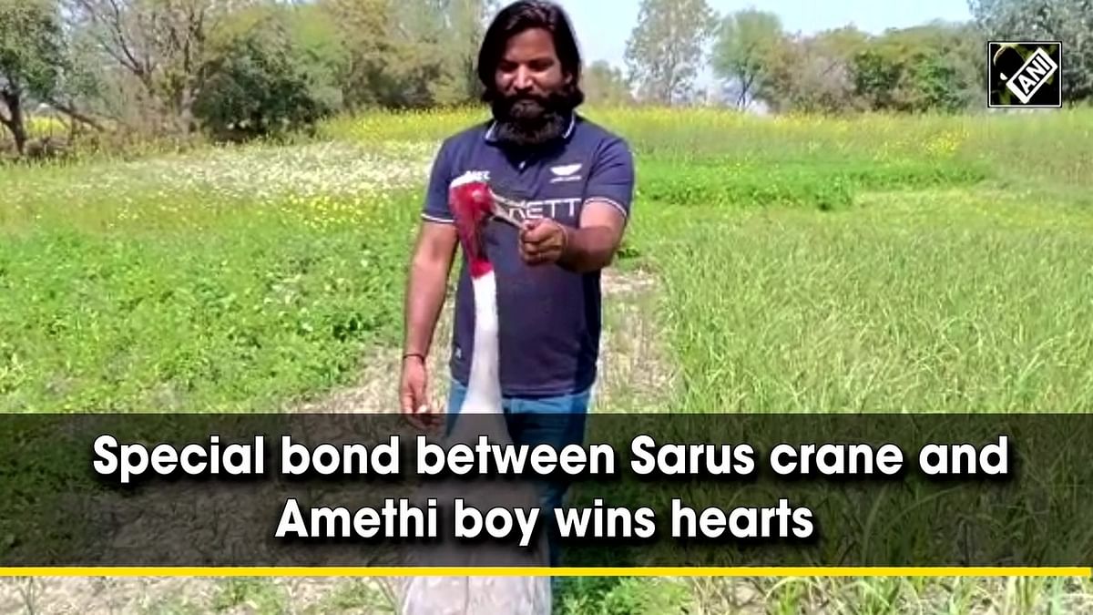 Special bond between Sarus crane and Amethi boy wins hearts 