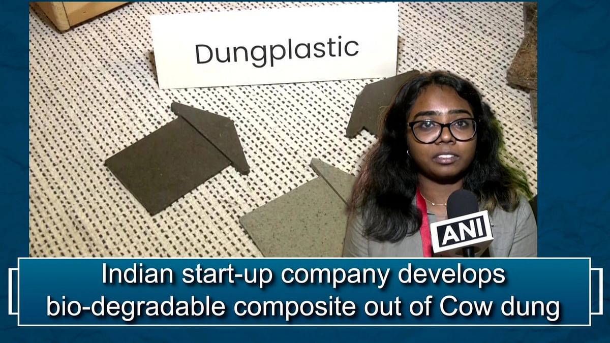 Indian start-up company develops bio-degradable composite out of cow dung
