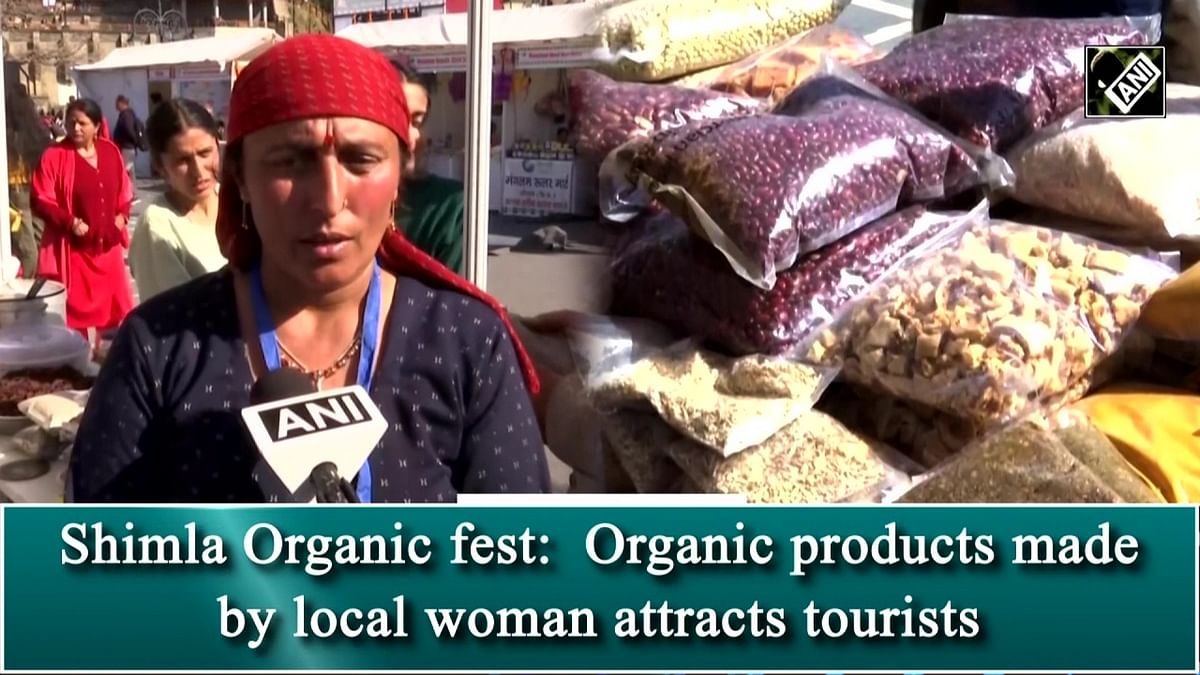 Shimla Organic fest: Organic products made by local woman attract tourists
