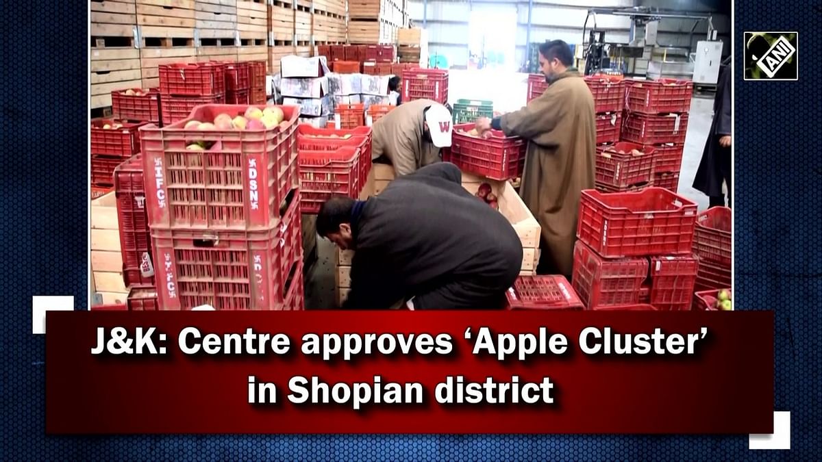 J&K: Centre approves ‘Apple Cluster’ in Shopian district