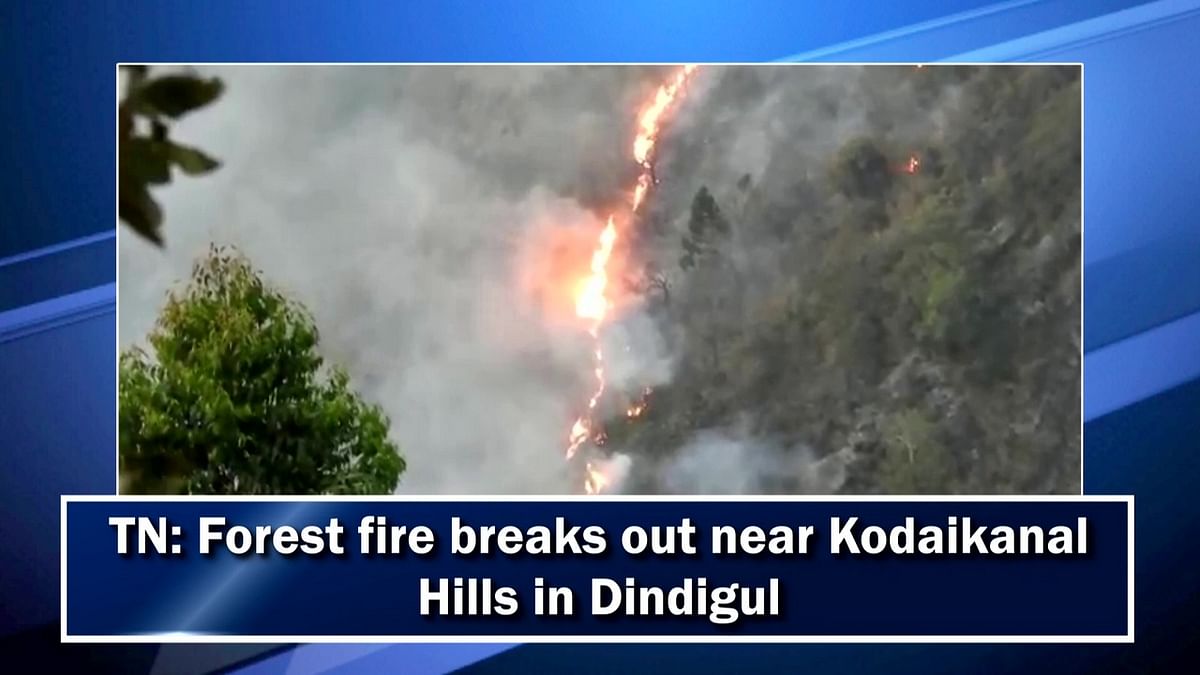 TN: Forest fire breaks out near Kodaikanal Hills in Dindigul