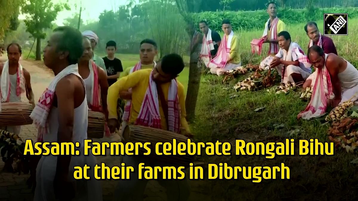 Assam farmers celebrate Rongali Bihu at their farms in Dibrugarh