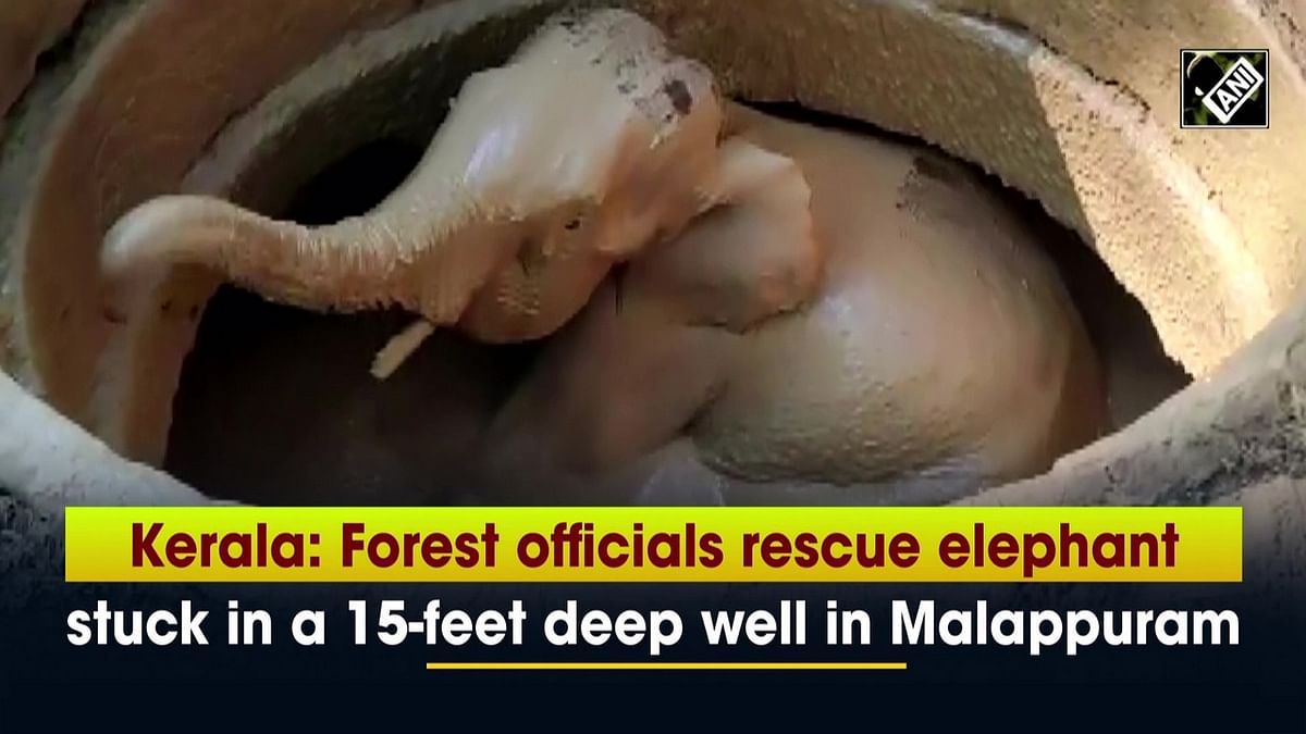 Kerala: Forest officials rescue elephant stuck in a 15-feet deep well in Mallapuram