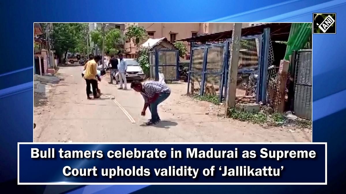 Bull tamers celebrate in Madurai as Supreme Court upholds validity of ‘Jallikattu’