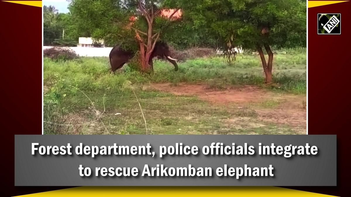 Forest department, police officials work to rescue Arikomban elephant