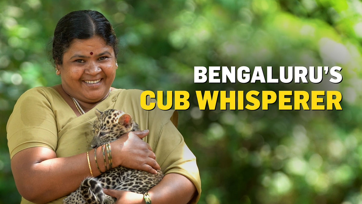 This caretaker at Bannerghatta Biological Park has a special connection with wild cubs